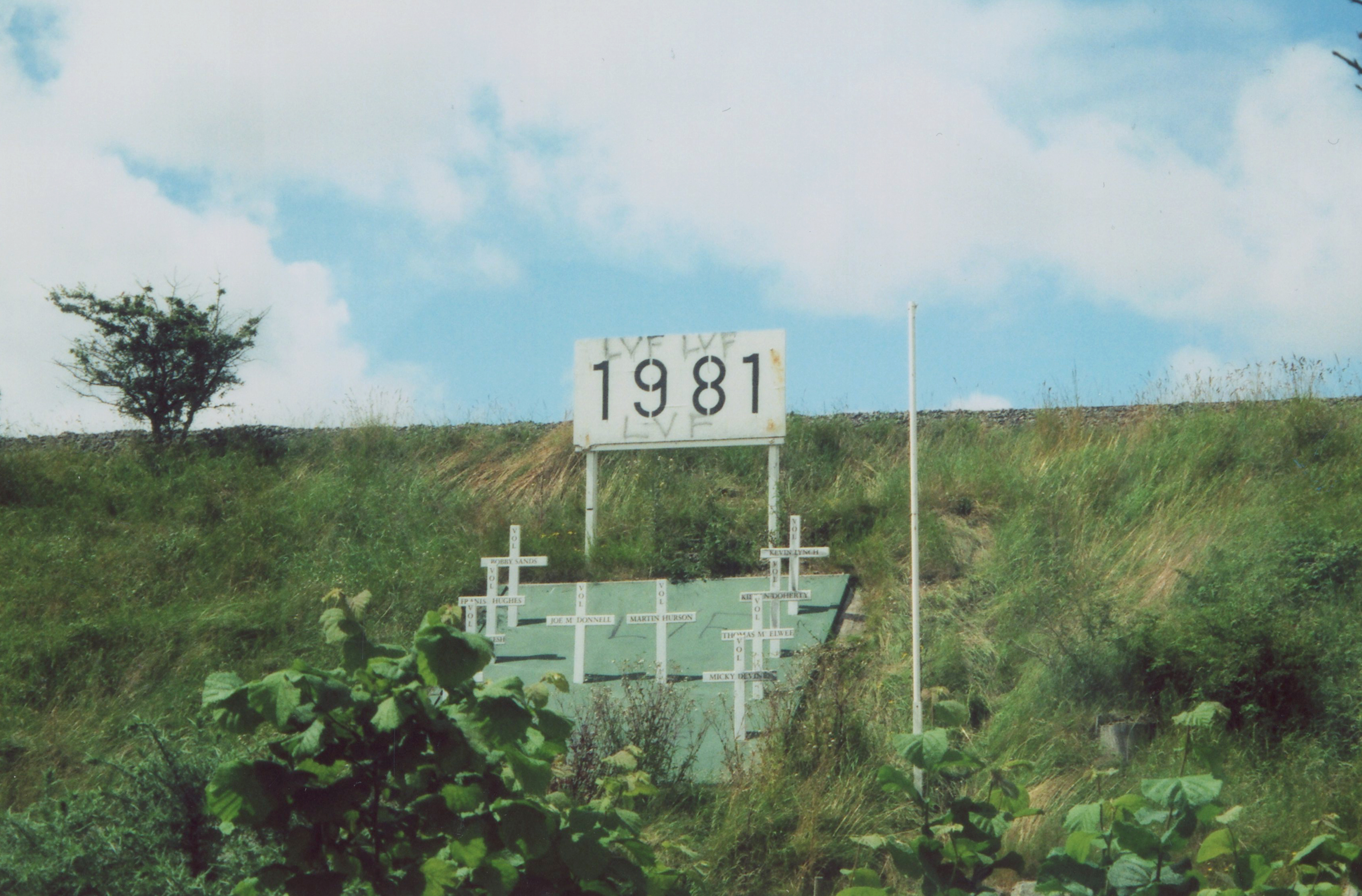 Looking Back on Lower Shankill